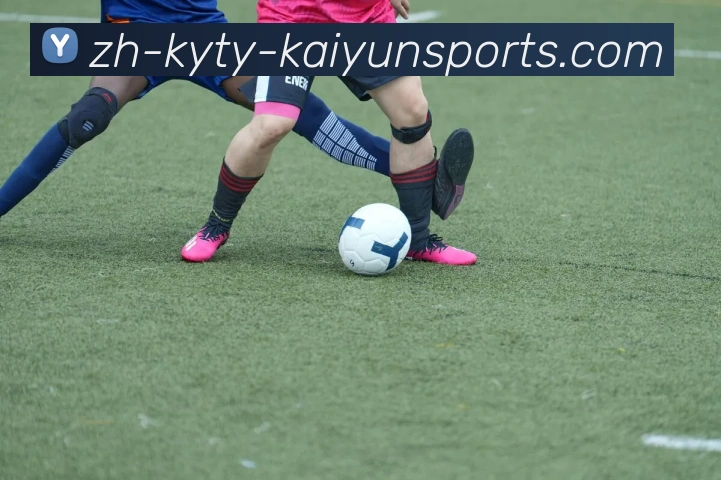 ky开云服务体系