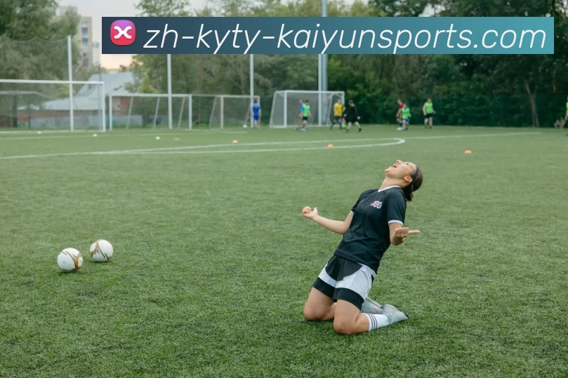 多媒体互动体验